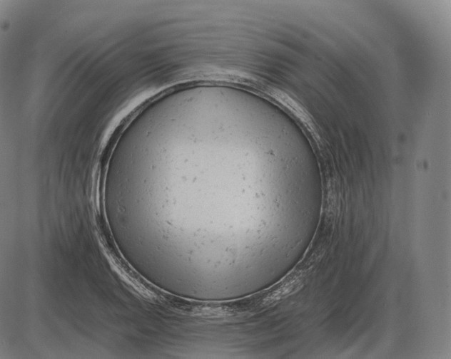 X0000085011128200703261148