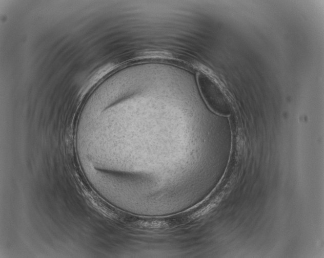 X0000085011129200703261148