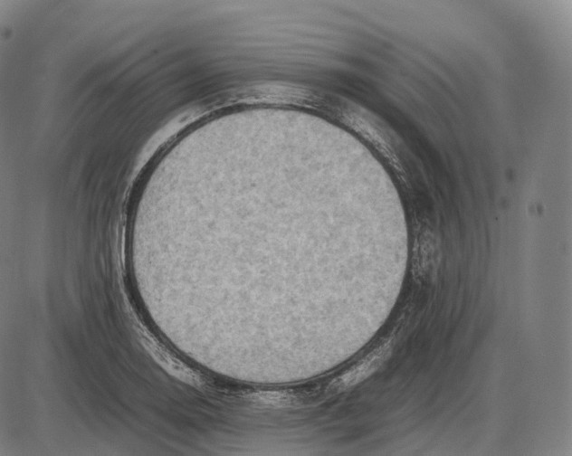 X0000085011130200703261148