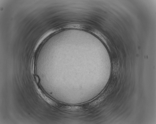 X0000085011131200703261148