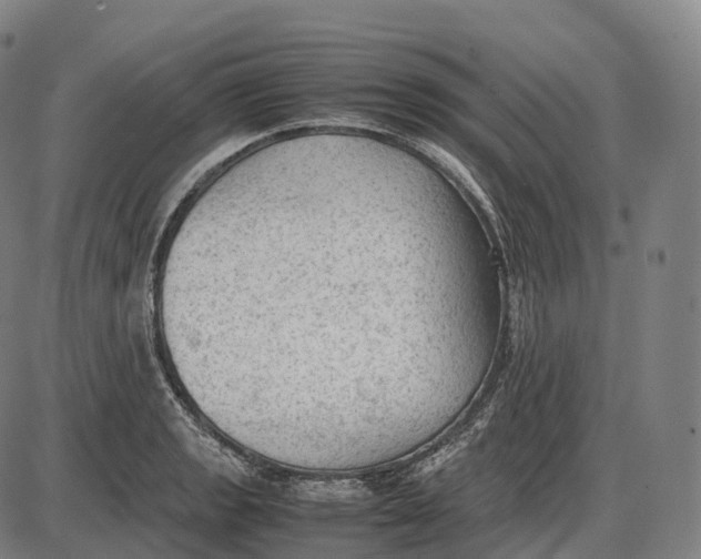 X0000085011133200703261148