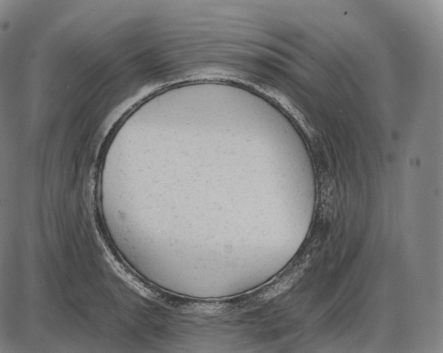 X0000085011134200703261148