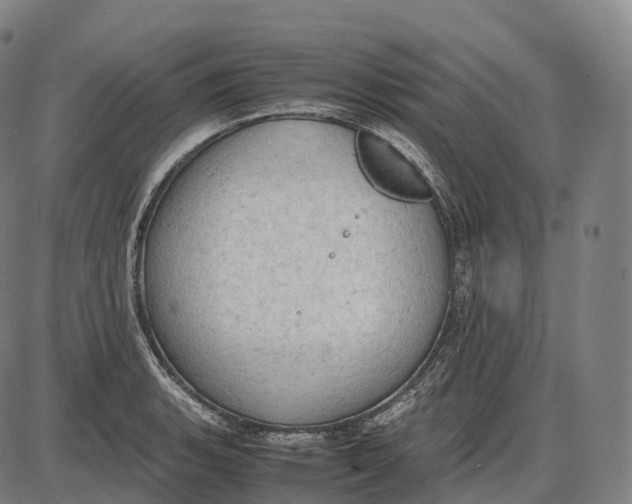 X0000085011135200703261148