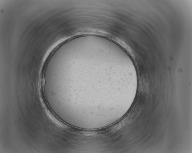 X0000085011136200703261148