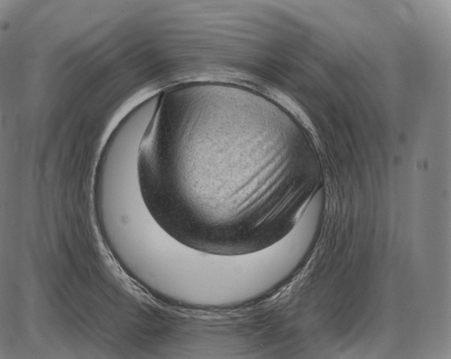 X0000085011138200703261148