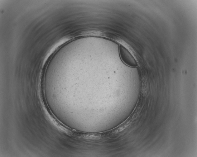 X0000085011139200703261148