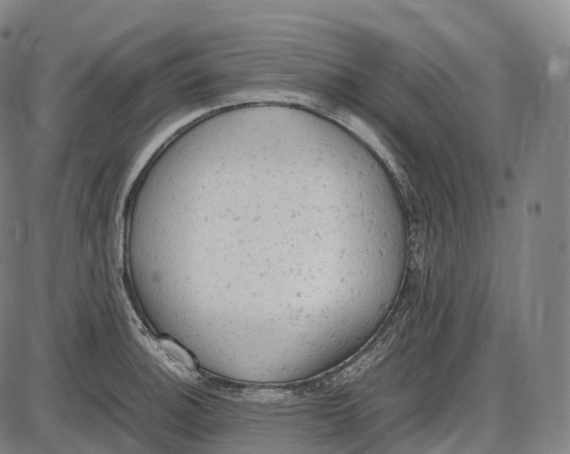 X0000085011140200703261148