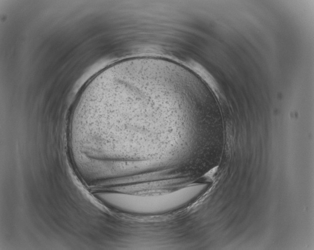 X0000085011142200703261148