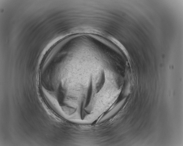 X0000085011144200703261148