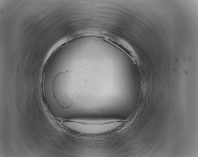 X0000085011146200703261148