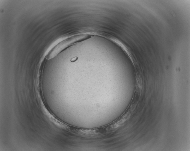 X0000085011147200703261148