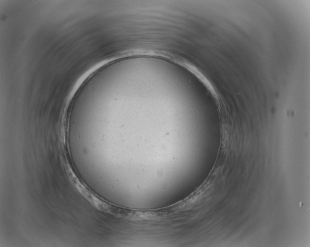 X0000085011148200703261148