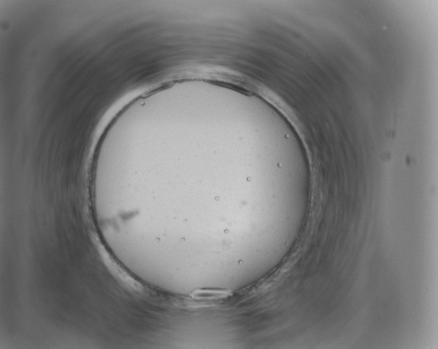 X0000085011152200703261148