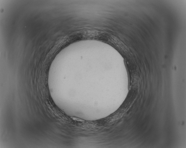 X0000085011153200703261147