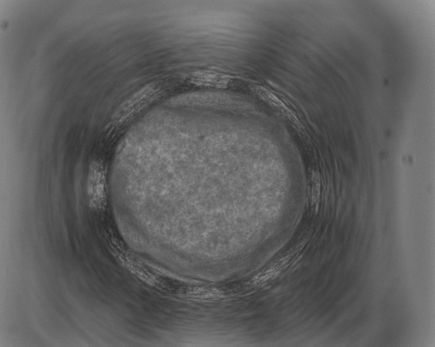 X0000085011154200703261147