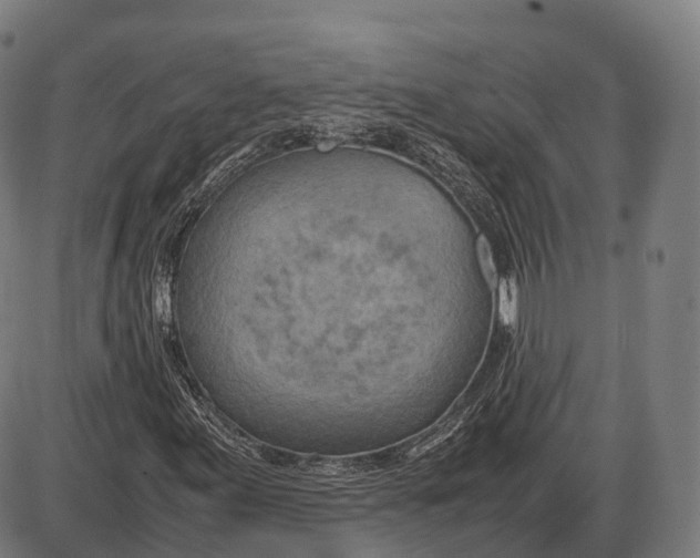 X0000085011155200703261147