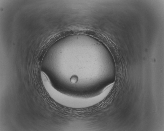 X0000085011157200703261147