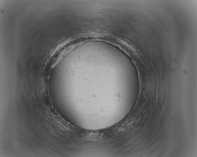 X0000085011160200703261147