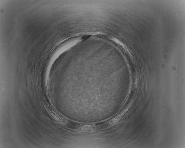 X0000085011161200703261147