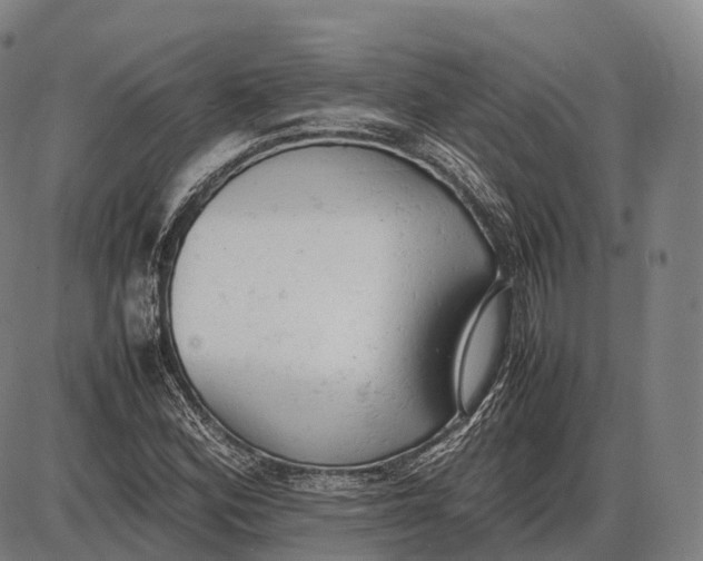 X0000085011164200703261147