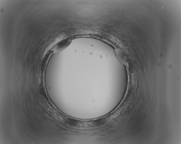 X0000085011165200703261147