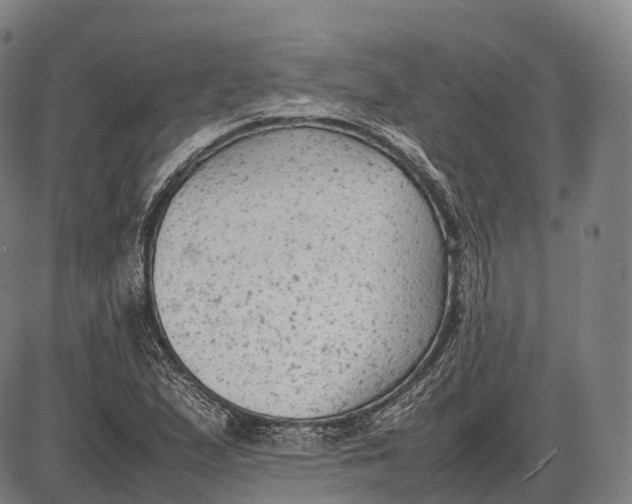 X0000085011167200703261147