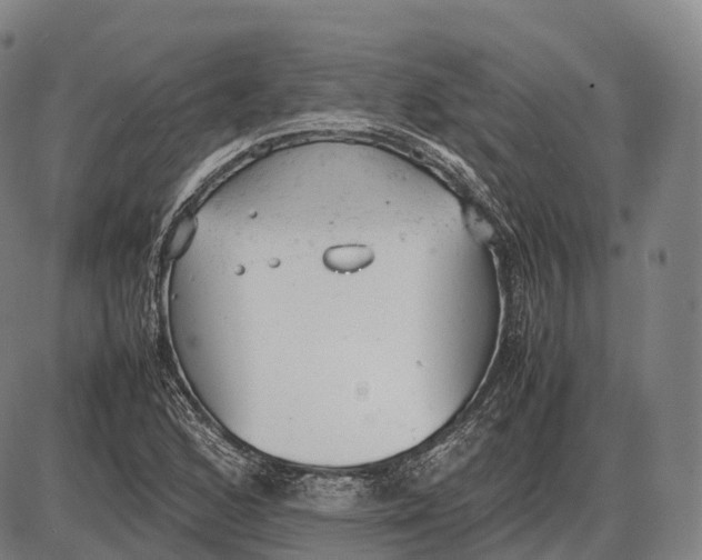 X0000085011168200703261147