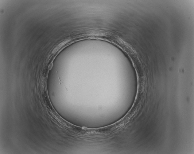 X0000085011169200703261147