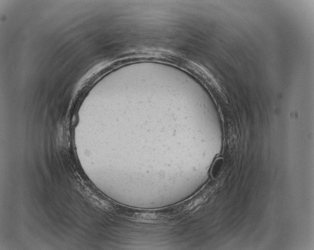 X0000085011172200703261147