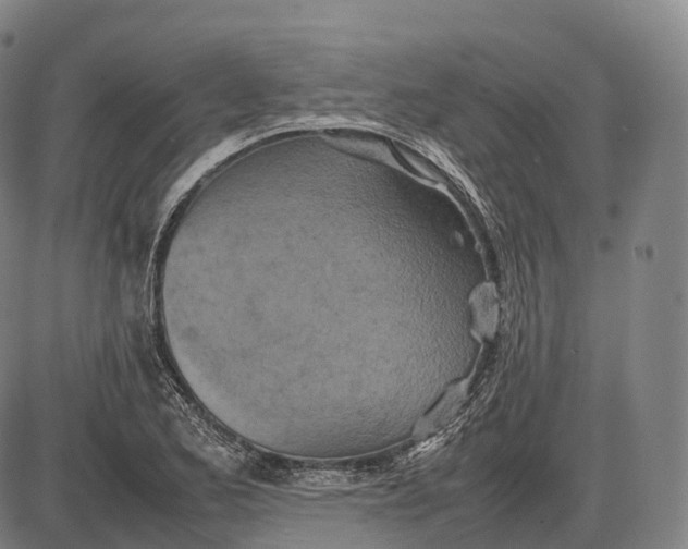 X0000085011173200703261147