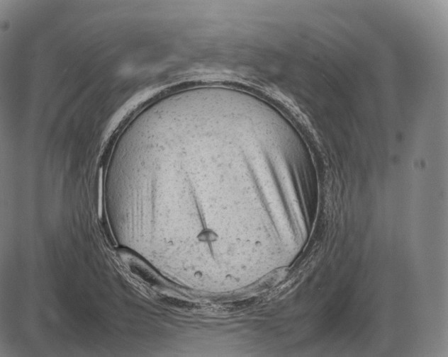 X0000085011175200703261147