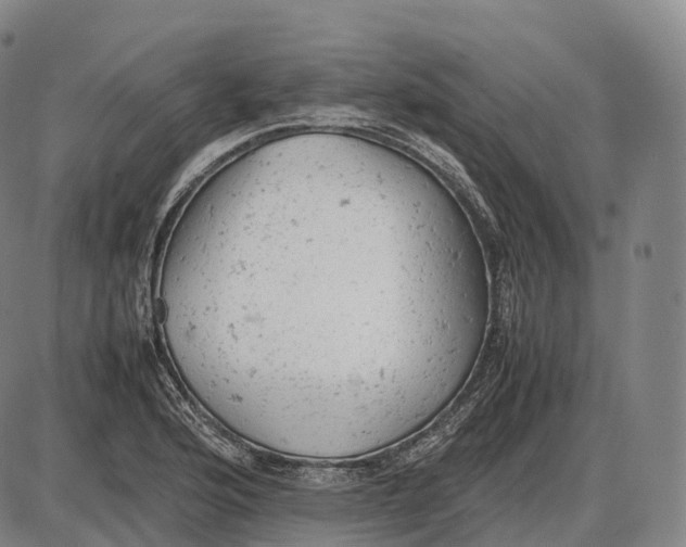 X0000085011176200703261147