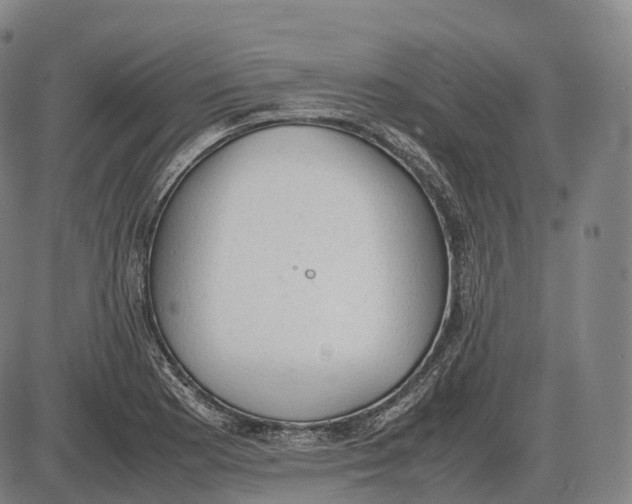 X0000085011177200703261147