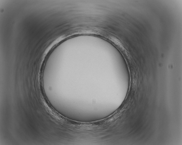 X0000085011181200703261147