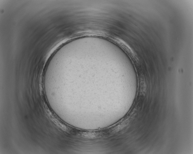 X0000085011182200703261147