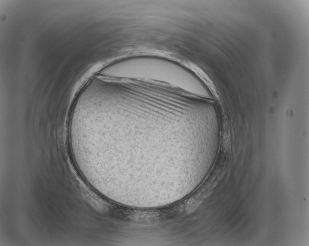 X0000085011183200703261147