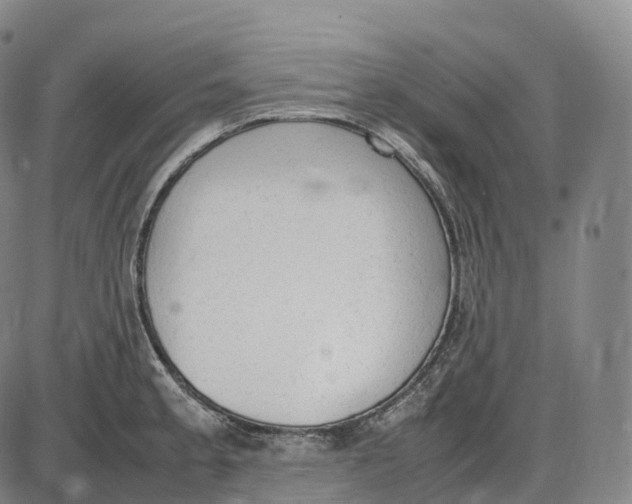 X0000085011189200703261147