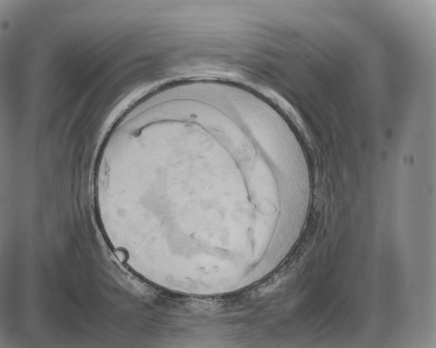 X0000085011191200703261147