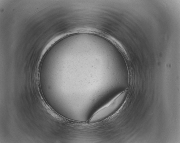 X0000085011192200703261147