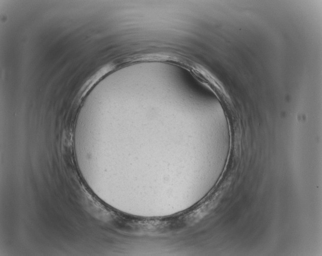 X0000085011193200703261147