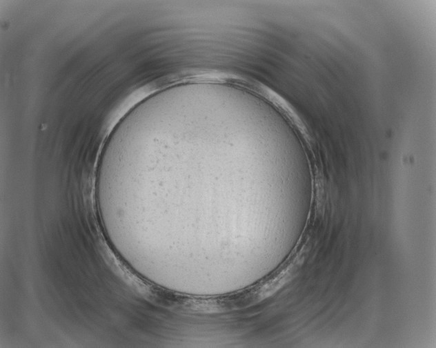 X0000085011194200703261147