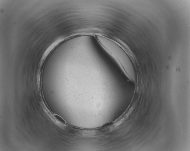 X0000085011196200703261147