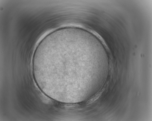 X0000085011199200703261146