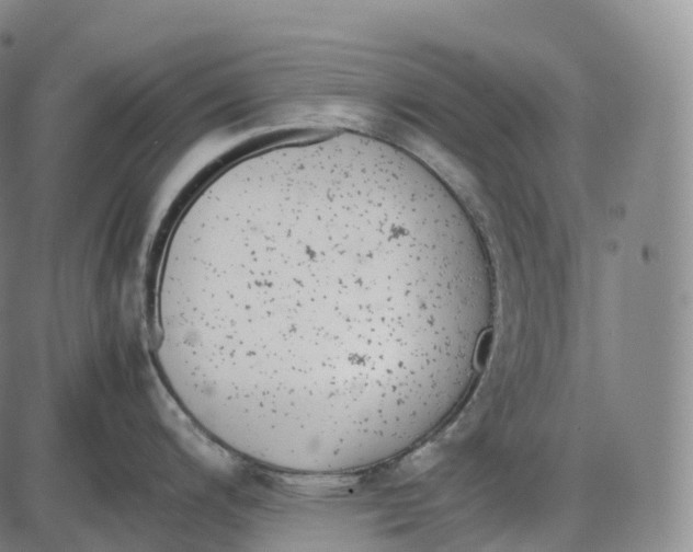 X0000085011200200703261146