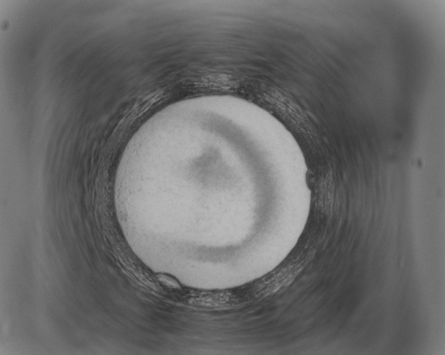 X0000085011201200703261146