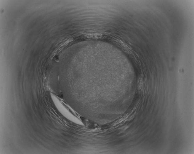 X0000085011202200703261146