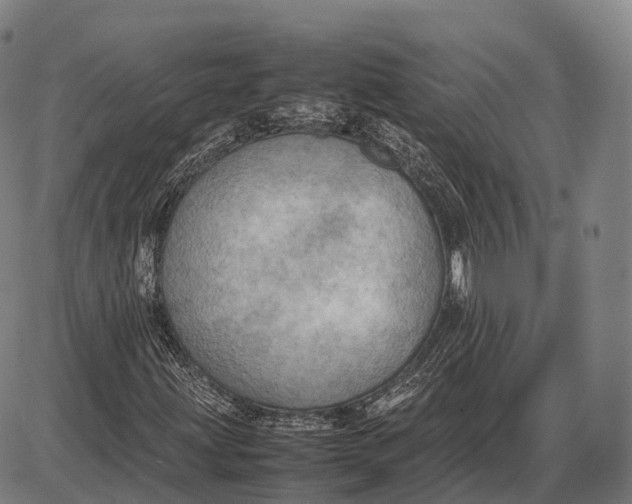 X0000085011203200703261146