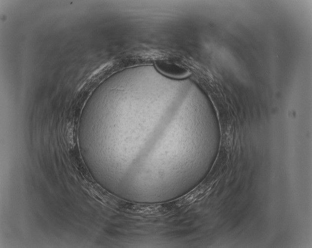 X0000085011205200703261146