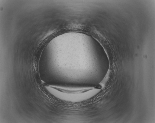 X0000085011206200703261146