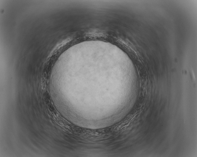 X0000085011207200703261146